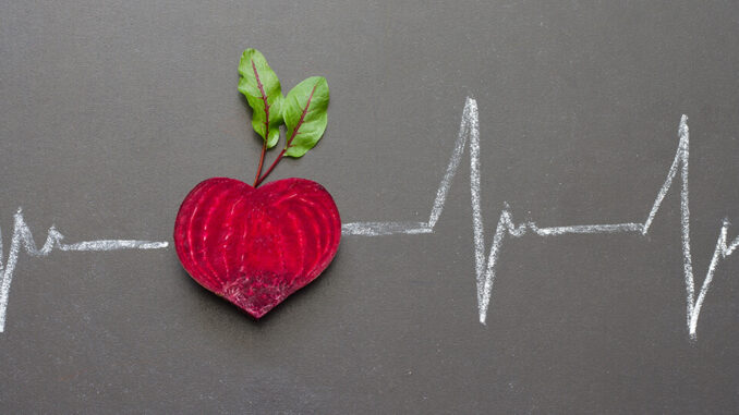 Abbildung einer herzförmigen Rote Beete Knolle mit zwei Blättern eingesetzt in einem aufgezeichneten Herzschlag