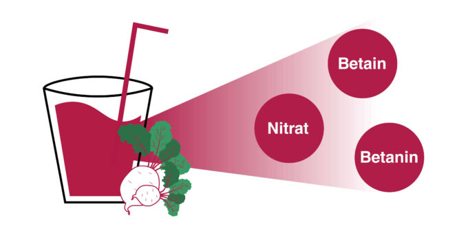 Nitrat, Betain & Betanin: Qualitätsmerkmale von Roter Beete