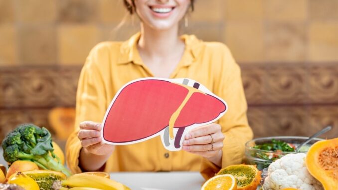 Lebermodell mit Obst und Gemüse als Hinweis auf Rote Bete, pflanzenbetonte Ernährung und Unterstützung der Lebergesundheit.