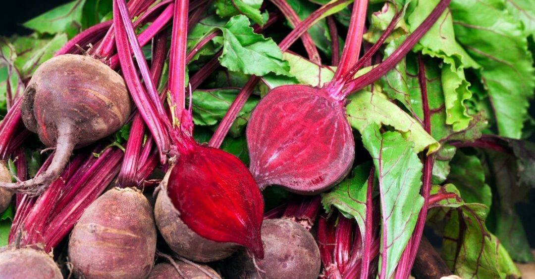 Rote Bete für die Verdauung (6)