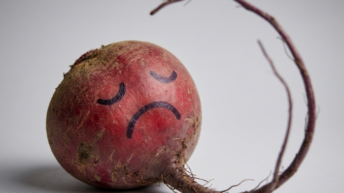 Titelbild_Wer sollte verzichten Rote Bete-Knolle mit traurigem Gesicht