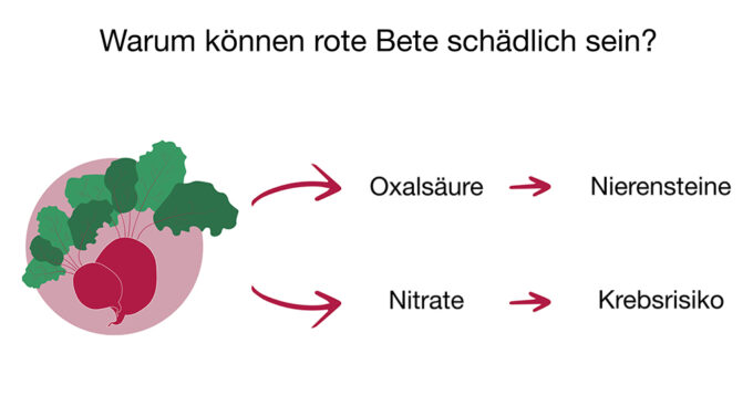 Darstellung möglicher Risiken durch Rote Bete: Oxalsäure kann Nierensteine begünstigen während Nitrate das Krebsrisiko erhöhen könnten.